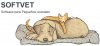 Software para veterinarias